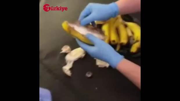 Video: Видео от Донецкая группа новостей|Донецк.ДНР