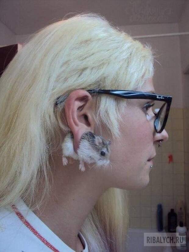жуть из соцсетей