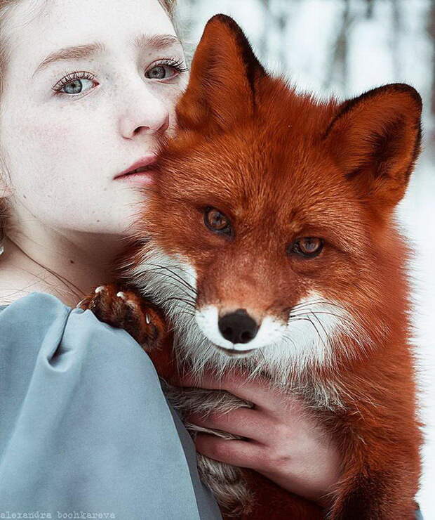 Рыжие девушки и лисицы: фотографии Alexandra Bochkareva Рыжие девушки и лисицы: фотографии Alexandra Bochkareva