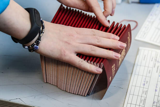 Германия и Румыния перестали признавать российские паспорта без биометрии