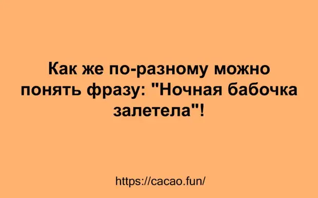 Яркая коллекция уморительных анекдотов