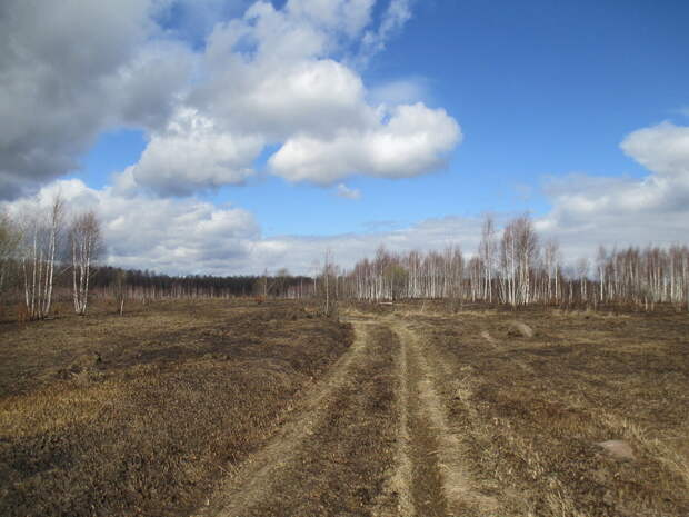Глуховка. Деревня Глуховка.