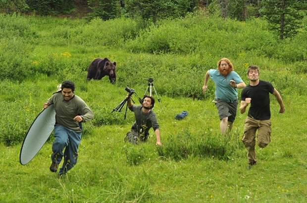 Фотографы, убегающие от медведя. интересное, фейки, фотографии