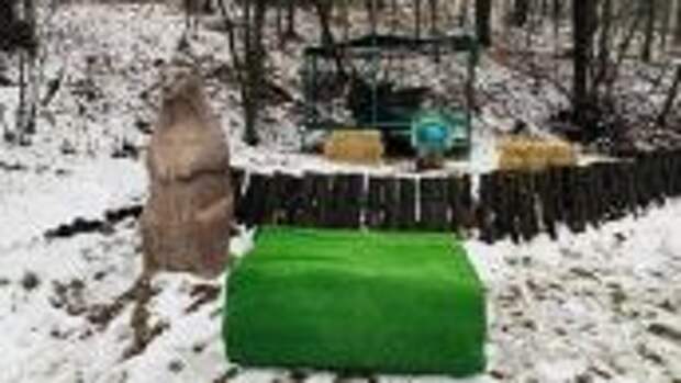 Сурок Тимка предсказал раннюю весну