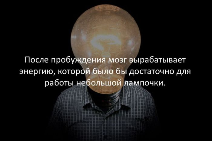 Интересные факты обо всем на свете