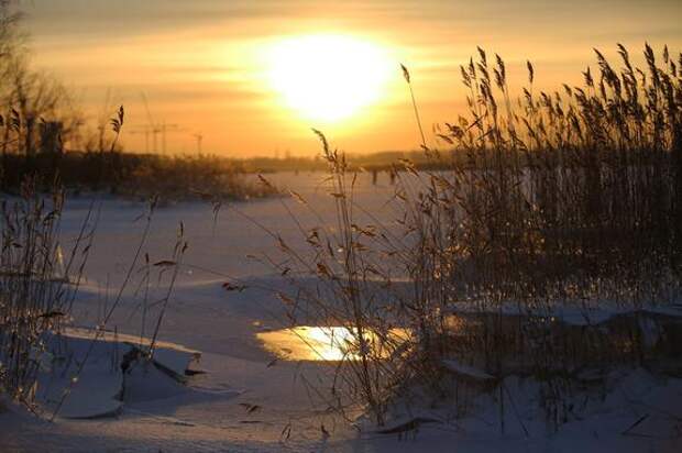 Солнце выбросило протуберанец размером в миллион километров