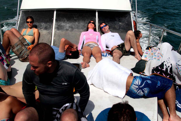 Cноркелинг во Флориде A summer pleasure 16 Снорклинг во Флориде