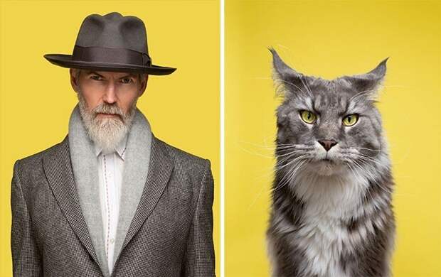 17 портретов кошек и людей, невероятно похожих друг на друга