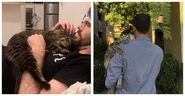 15 девушек, которые вынуждены наблюдать, как кошки уводят их парней