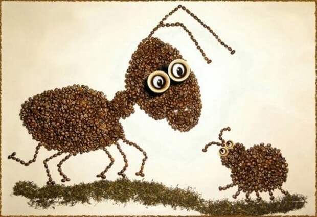 картина из кофейных зерен муравей
