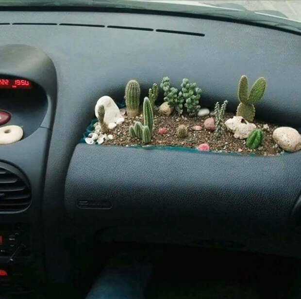 creative-car-owners-82-58061b56ccc5d__700