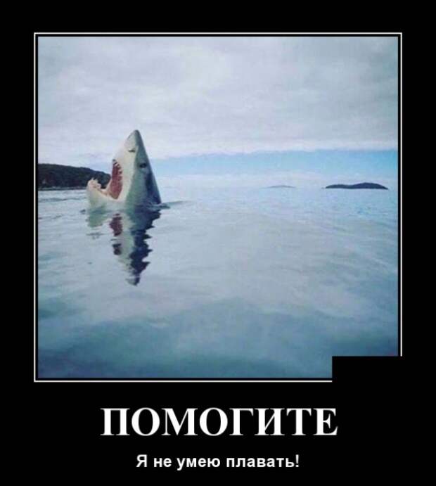 Демотиваторы (30 фото)