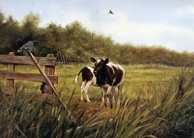 �������� ��� ���������.