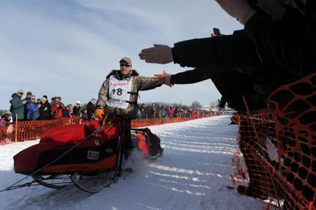 Гонка на собачьих упряжках Iditarod 2013