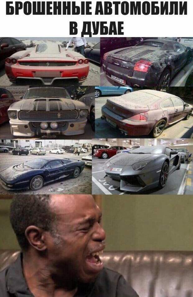 автоприколы
