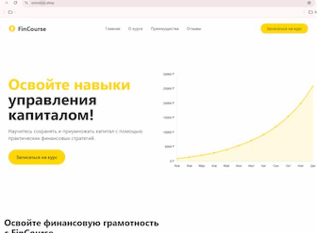 Net Fraud