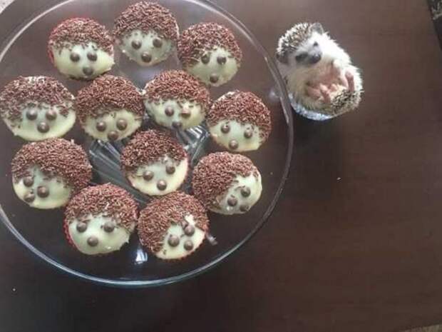 не зря позировал