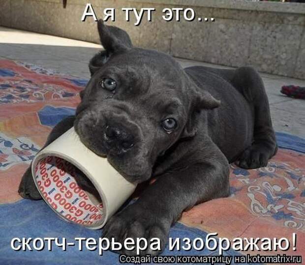 Мысли вслух :)