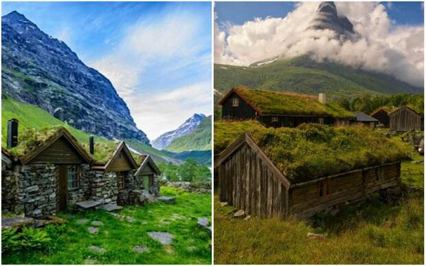 Жители скандинавских стран трепетно относятся к своей истории и зеленые крыши не стали исключением.