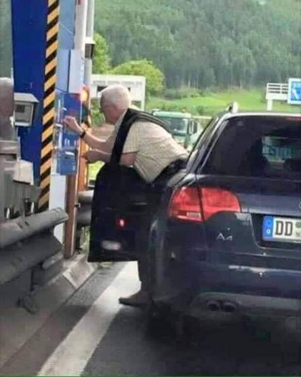 Прикольные картинки