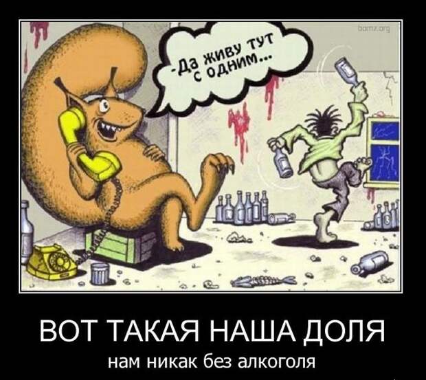 Демотиваторы