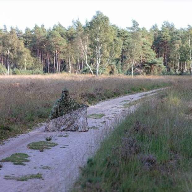 Смешные картинки 8 октября 2021 года