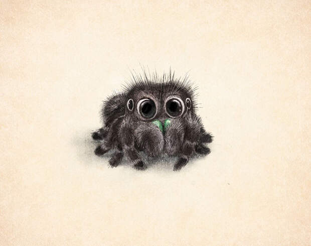 Cute Animal Illustration