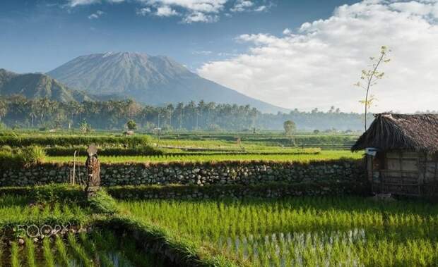 14 веских причин держаться подальше от Бали