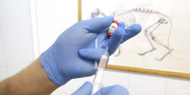 Мобильная бригада проведет вакцинацию от COVID-19 во ВГИКе на Вильгельма Пика