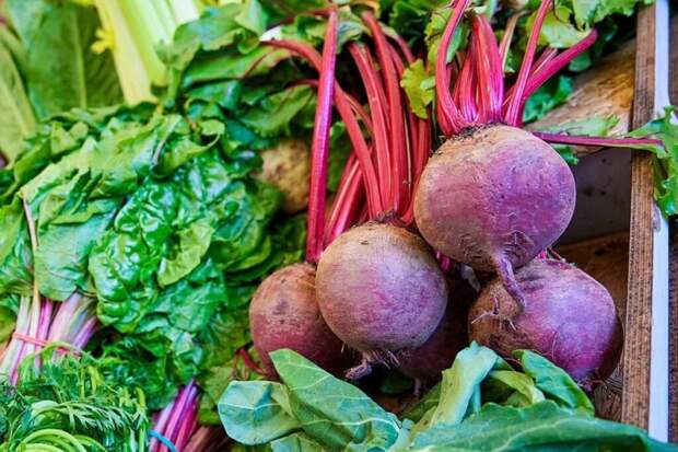 Как правильно и быстро сварить крупную свеклу: 4 мудрости рачительных хозяек