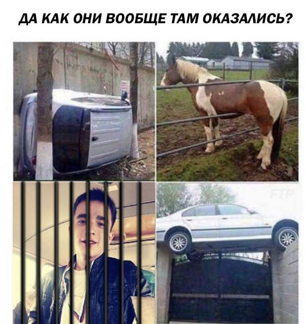 Смешные картинки с надписями прикол, юмор