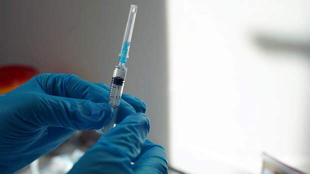 В России не хватает вакцин от инфекционных заболеваний для собак и кошек