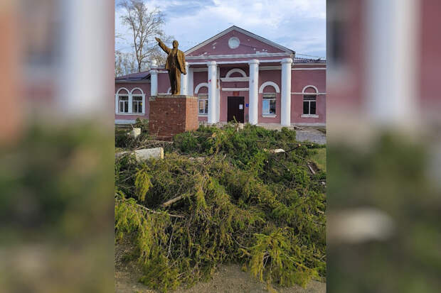 Чиновники срубили ели в центре челябинского поселка ради переноса памятника