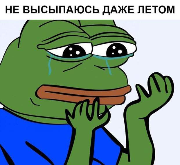 Прикольные картинки. Дневной выпуск (56 фото) Прикольные картинки. Дневной выпуск (56 фото)
