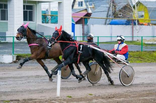 Тамбовский ипподром открывает весенний беговой сезон
