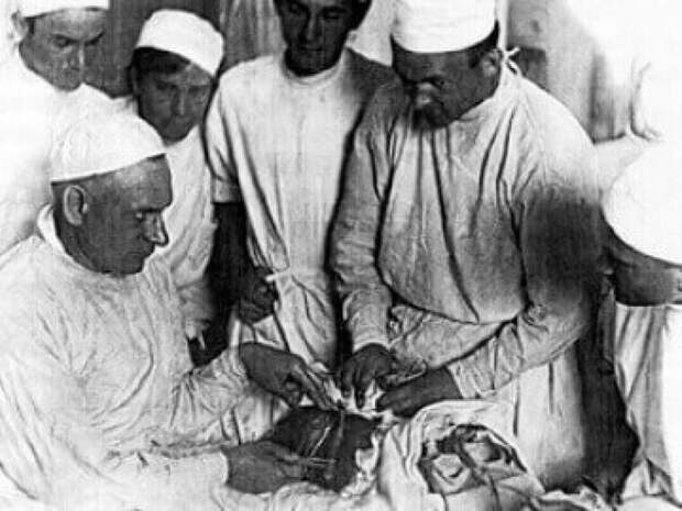 Первая в мире операция по пересадке почки была проведена в СССР