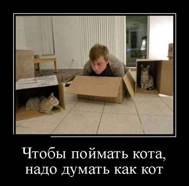 Забавный пост демотиваторов. Свежие приколы