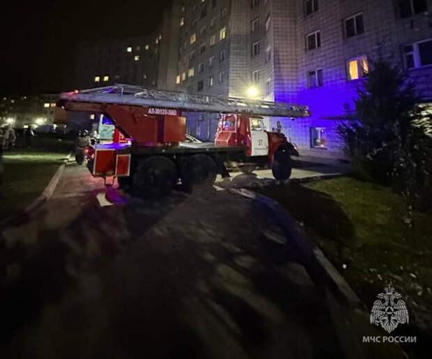 Двух детей спасли при пожаре в Новосибирске