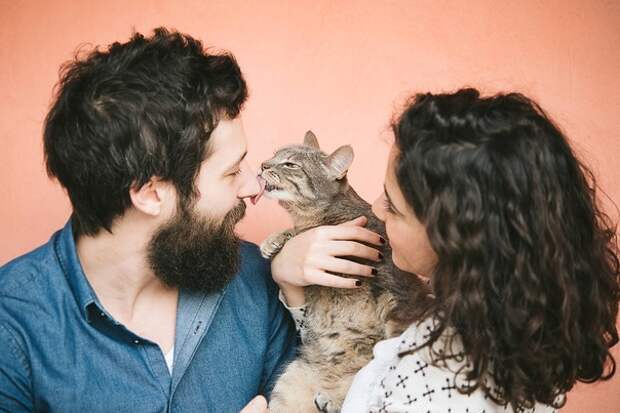 Зачем нужно РАЗГОВАРИВАТЬ с кошкой? ☺.. | Mimer.ru | МИМЕР | Территория  котов и кошек | ВКонтакте