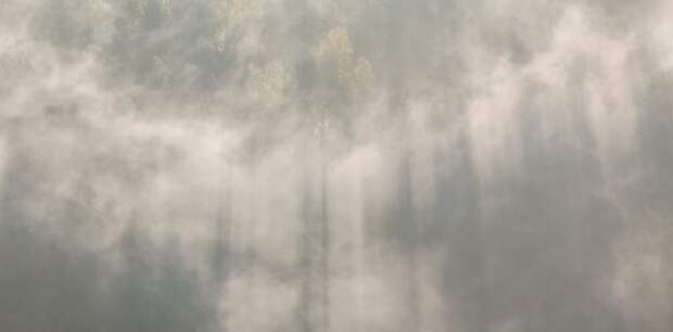 Такой день. Экстренное избрание нового главы алтайских «афганцев» и 18 новых автобусов для Барнаула