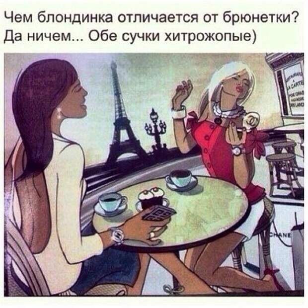 Чем блондинка отличается от брюнетки? Да ничем... Обе сучки хитрожопые.