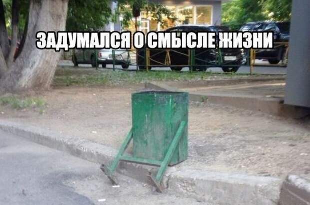Прикольные картинки