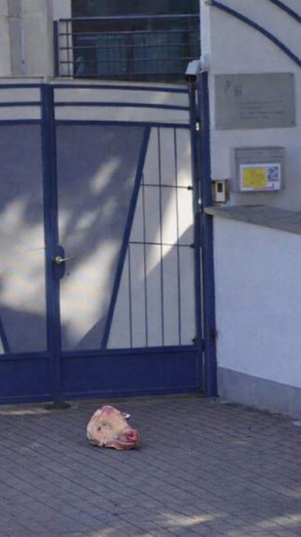 От слов к делу: после заявлений Зеленского об «адресе для ВСУ» неизвестные осквернили посольство Украины в Венгрии