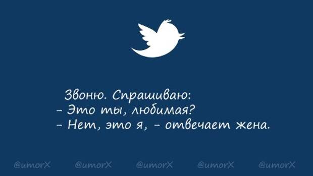 00rljCoqWcApZNe (506x285, 12Kb)