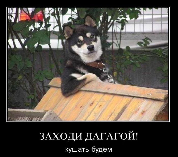 Демотиваторы