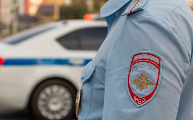 Двоих жителей Захаровского района подозревают в угоне четырёх машин в Рязани