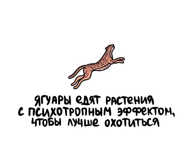 Подборка коротких интересных фактов на все случаи жизни