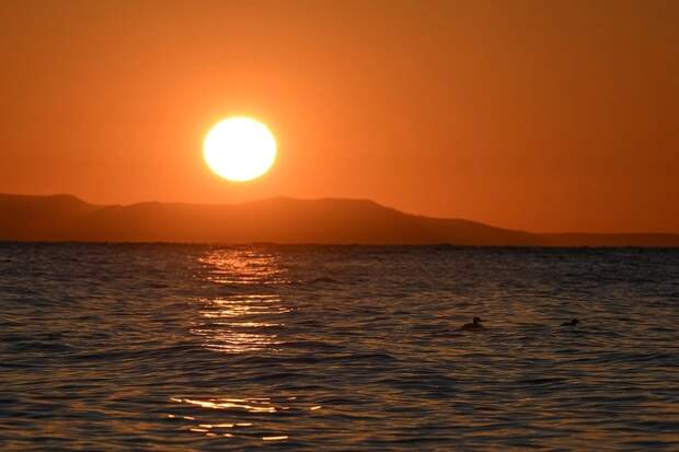 В США определили, где находится генератор вспышек на Солнце