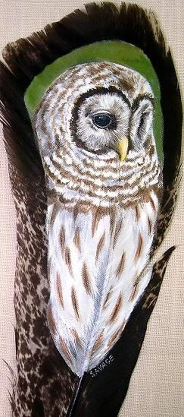 great feather art of an Owl