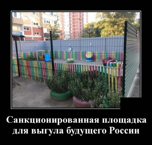 Демотиваторы (20 фото)